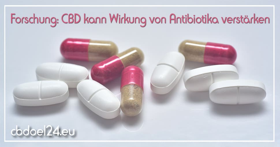 CBD kann Wirkung von Antibiotika verstärken